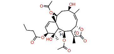 Briaexcavatolide W